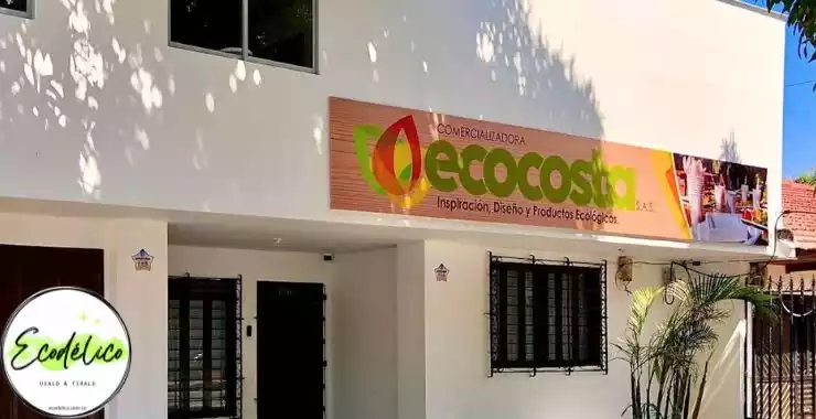 desechables barranquilla centro