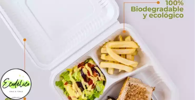 Plato de 3 puestos desechable para papas y ensalada