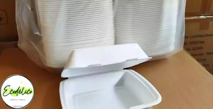 Bandeja con tapa para salchipapas