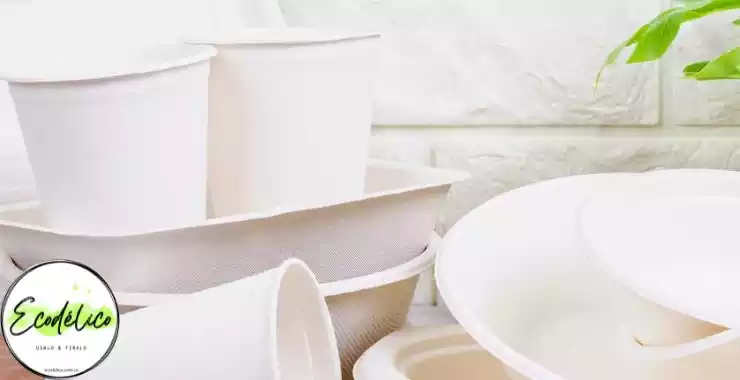 Pocillos de cartón biodegradables