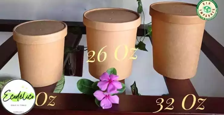 Pocillos plásticos de tinto