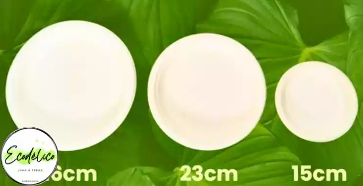Platos desechables para seco