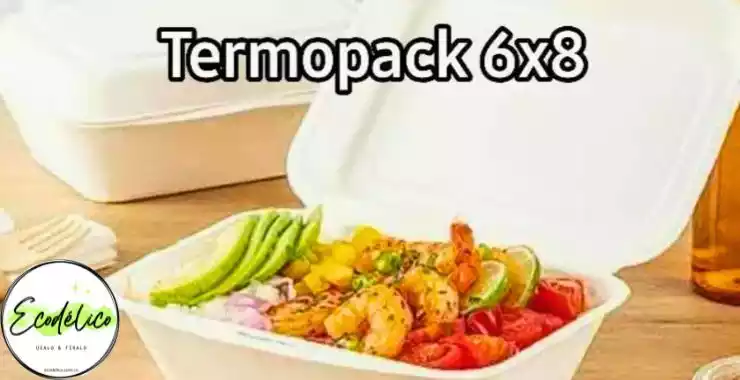 Plato con tapa termo pack 6x8 desechable