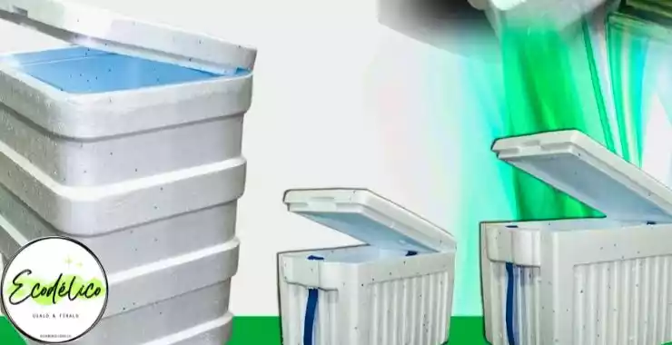 Neveras de icopor grandes y pequeñas
