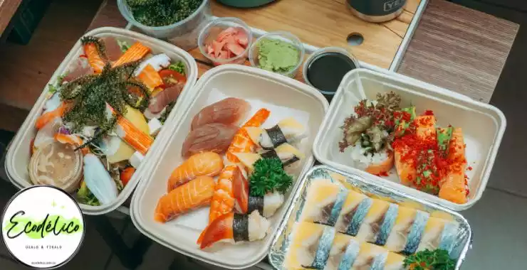 platos desechables para empacar comida y ensalada